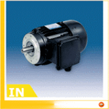 IN - Inverter motor