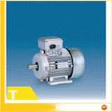 T - Three-phase induction motors
