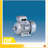 DP - Polumschaltbare Drehstrom-Asynchronmotoren